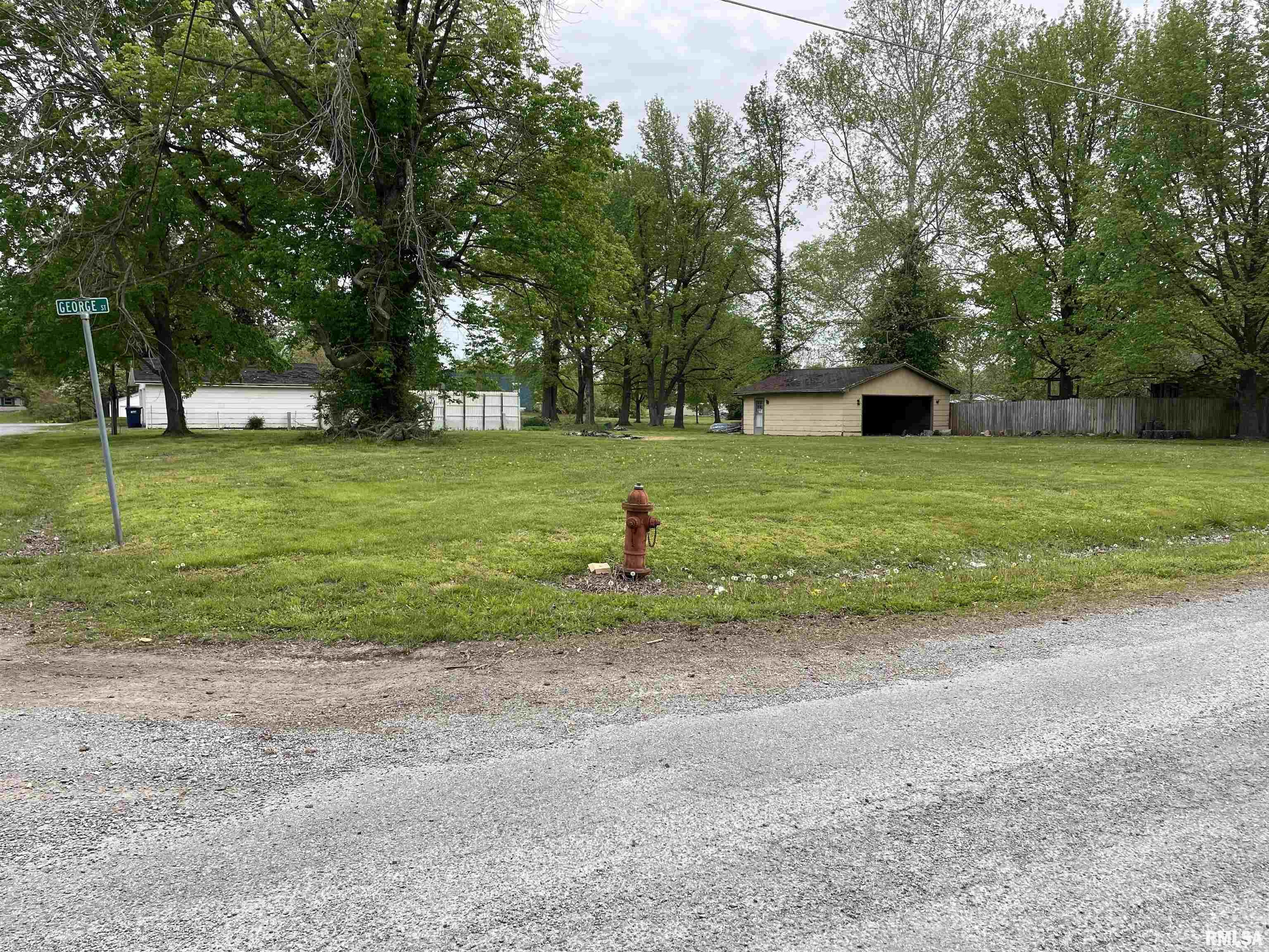 0 George Street Buckner, IL 62819 - Photo 1 of 6