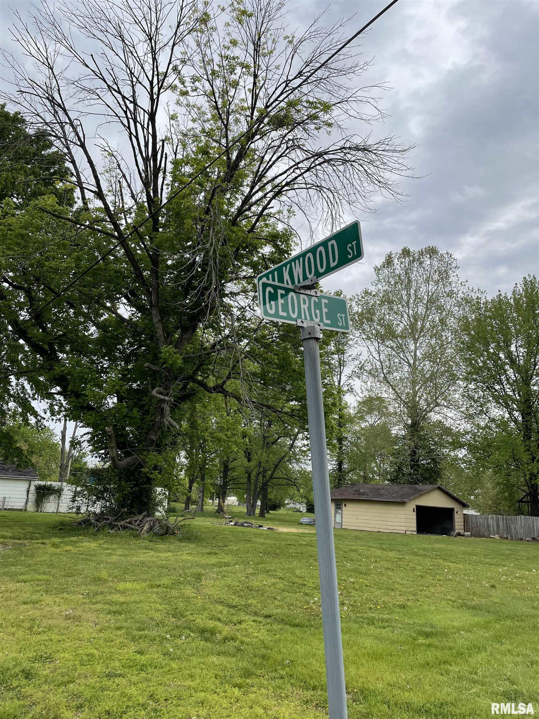 0 George Street Buckner, IL 62819 - Photo 4 of 6