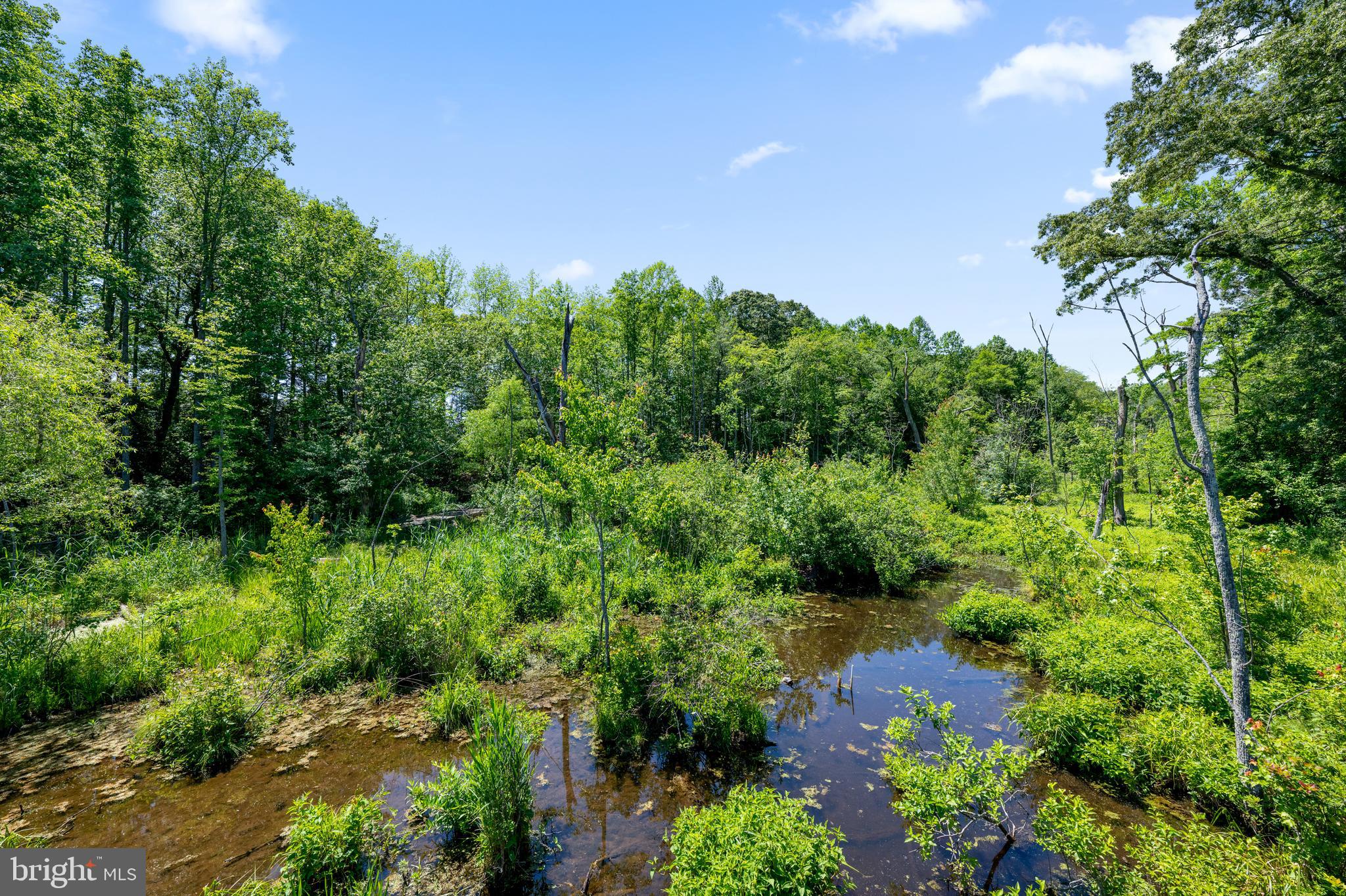 37192 Sheepscot Road Lewes, DE 19958 - Photo 69 of 70