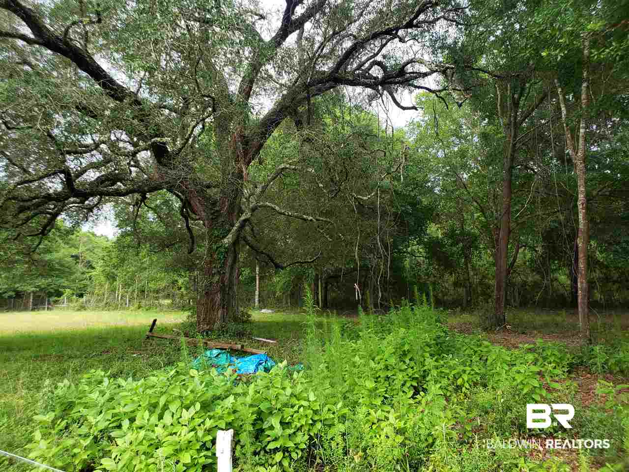 9736 Hildriveeth Drive Elberta, AL 36530 - Photo 7 of 9