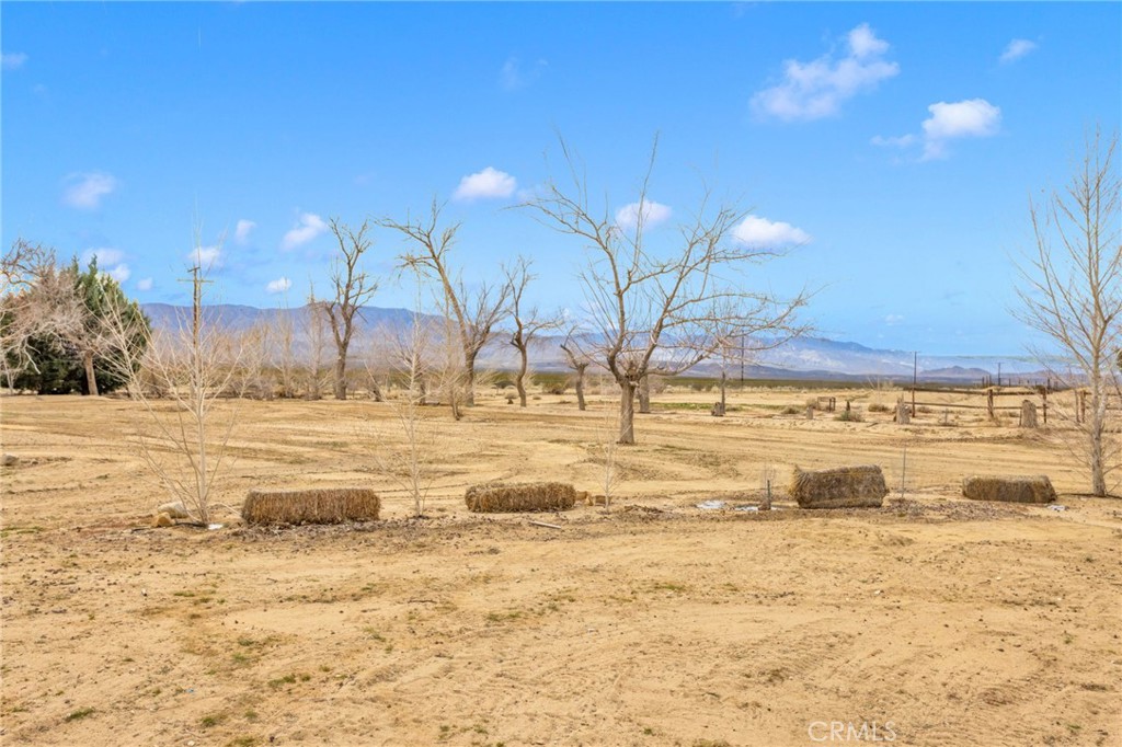 47424 Paddington Landers, CA 92285 - Photo 44 of 69