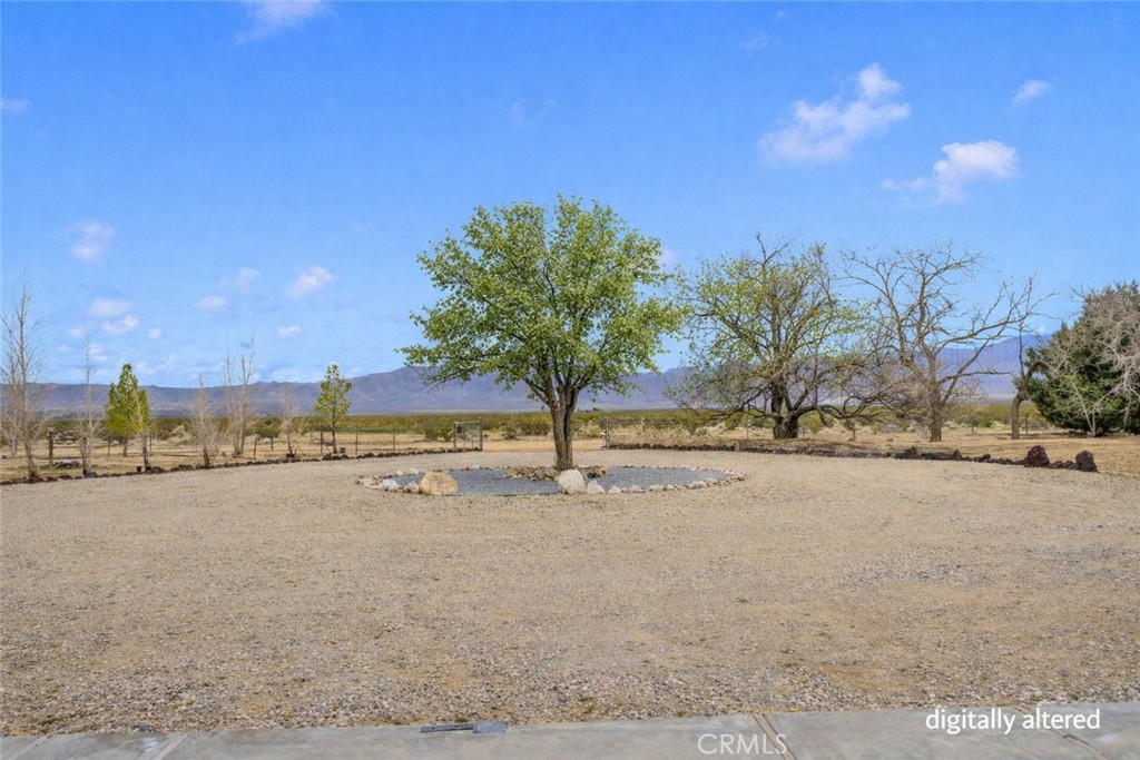 47424 Paddington Landers, CA 92285 - Photo 8 of 69 Leaves digitally added to trees for seasonal appearance