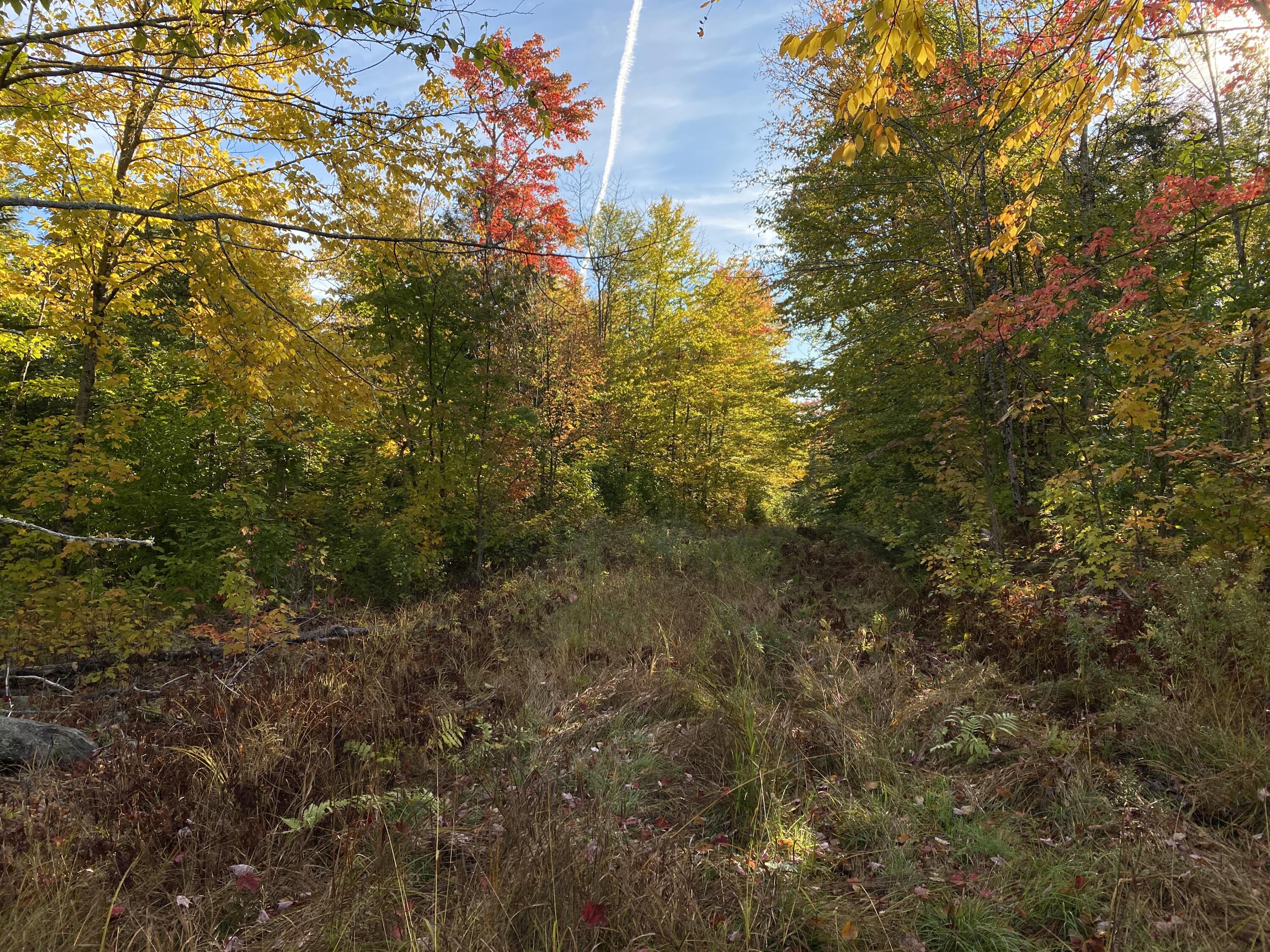 M12-l11 M12-l11 Off Cone Road Amity, ME 04471 - Photo 2 of 10 Photo Oct 05, 8 41 07 AM