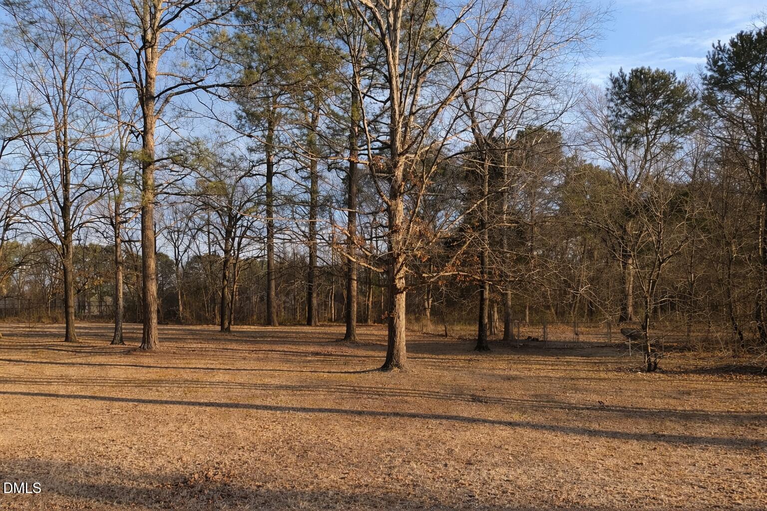 Lot 4 Will Suitt Road Creedmoor, NC 27522 - Photo 1 of 5 image1 (1)