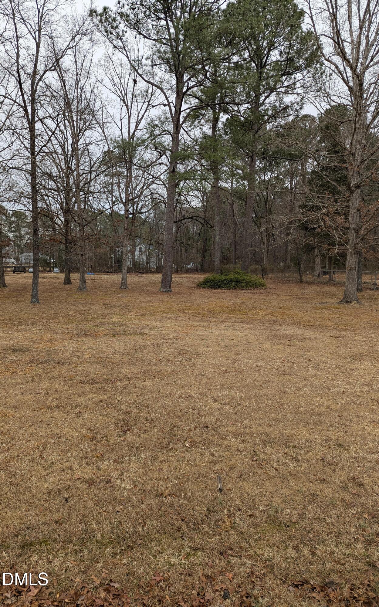 Lot 4 Will Suitt Road Creedmoor, NC 27522 - Photo 3 of 5 Will suit one