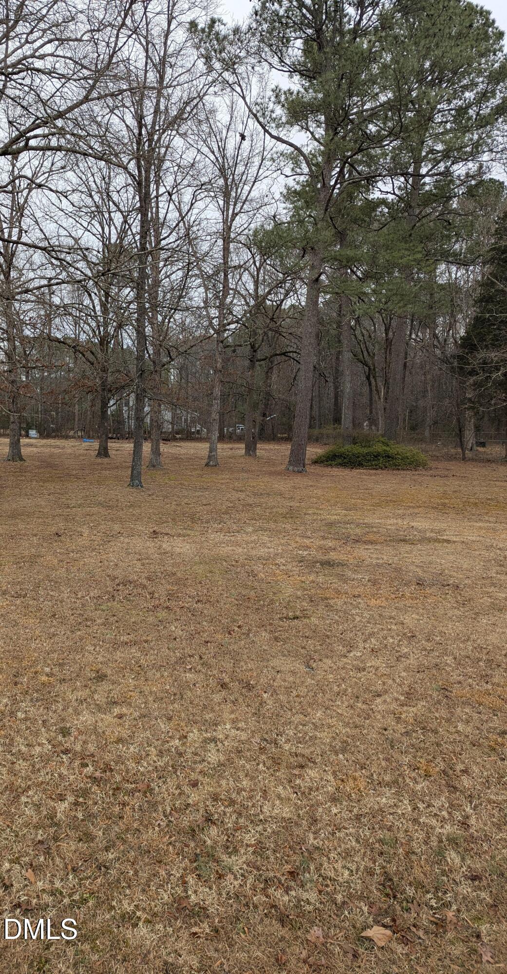 Lot 4 Will Suitt Road Creedmoor, NC 27522 - Photo 4 of 5 will suit two