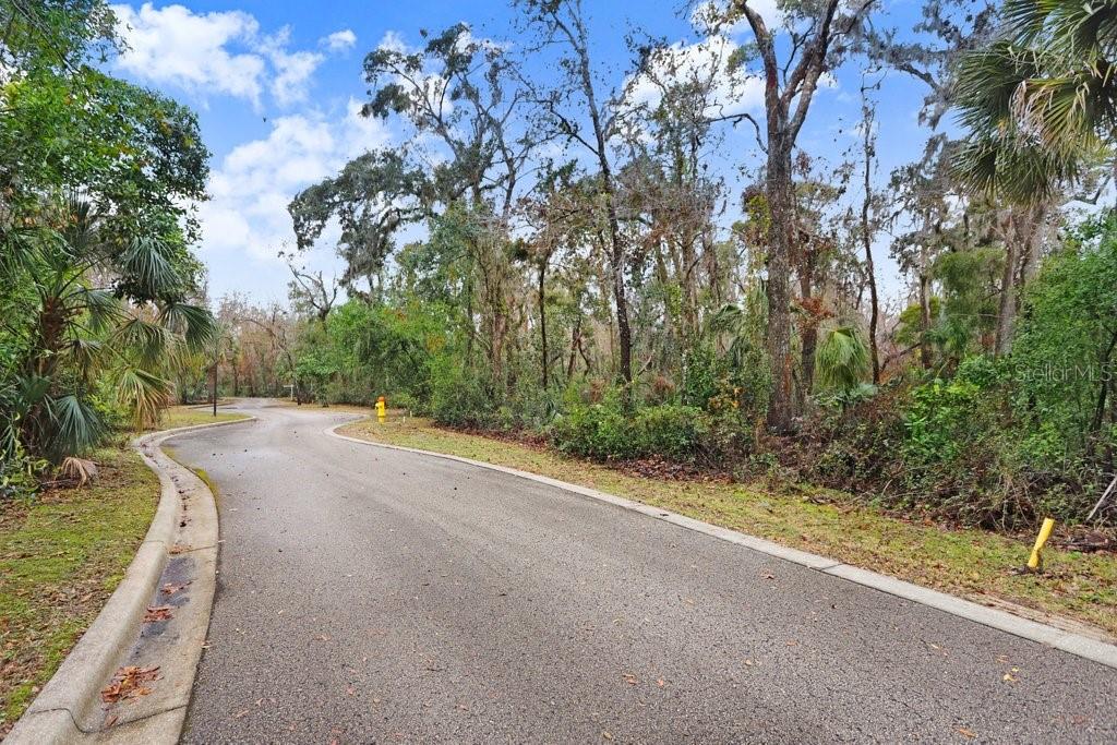 4872 Rambling River Road Brandon, FL 33511 - Photo 27 of 29 a view of a street view