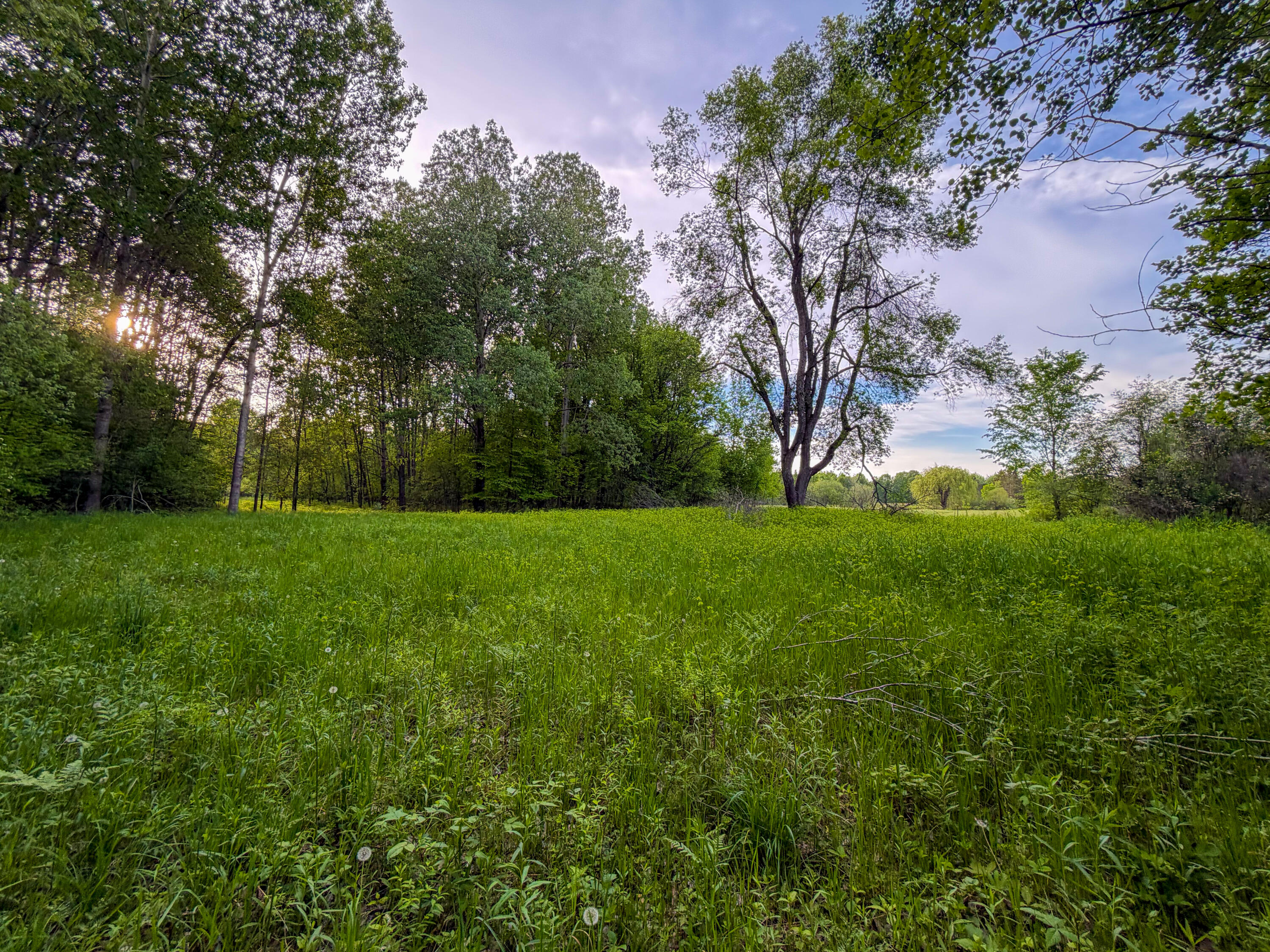 3091 East Sage Lake Road Lupton, MI 48635 - Photo 11 of 49 14