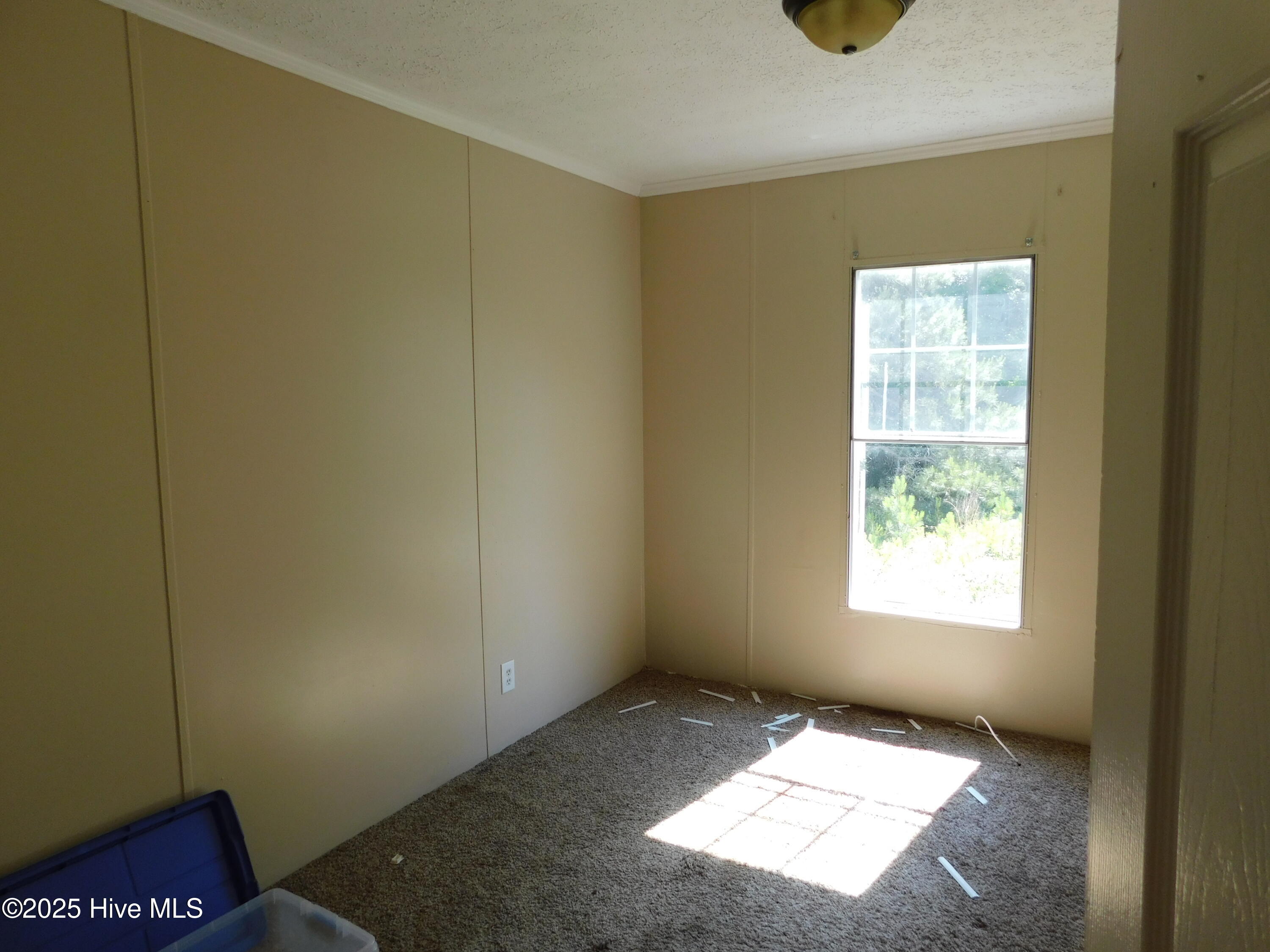 1154 King Road McColl, SC 29570 - Photo 15 of 21 DSCN0233
