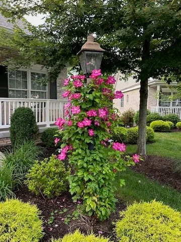 an aerial view of a house with a garden
