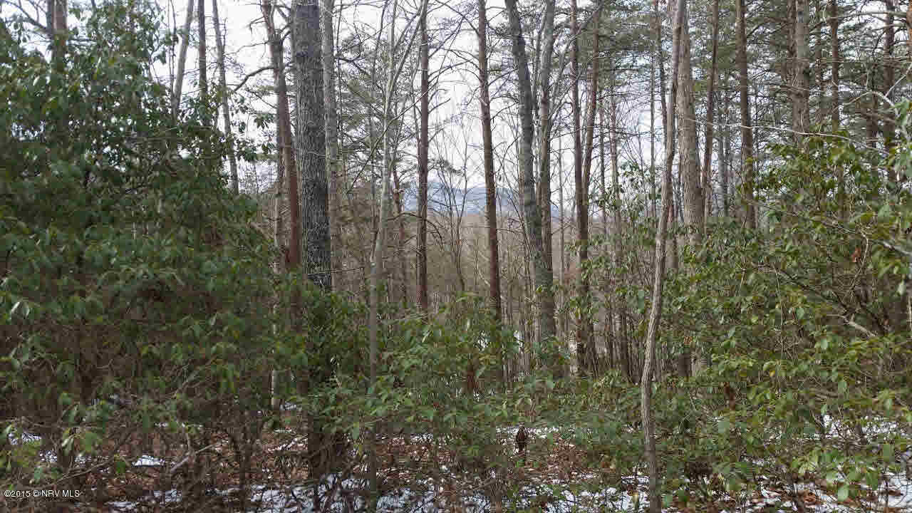 2 Seven Island Road Danbury, NC 27016 - Photo 2 of 8 Gallery Image 2