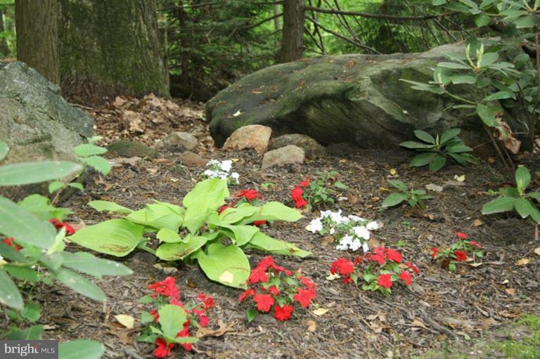 702 Cold Bottom Road Sparks Glencoe, MD 21152 - Photo 25 of 27 Garden #2