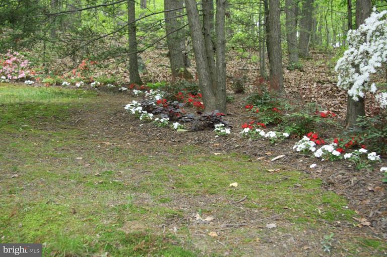 702 Cold Bottom Road Sparks Glencoe, MD 21152 - Photo 26 of 27 Other #1