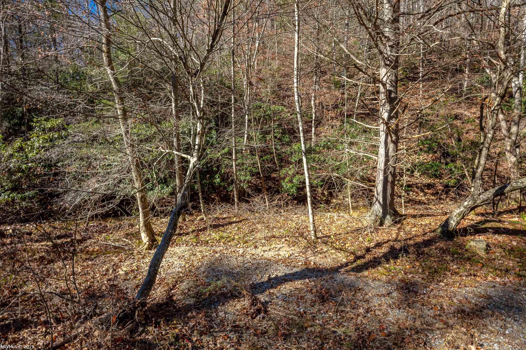 Tbd Mudlick Road Wytheville, VA 24382 - Photo 12 of 44 Gallery Image 12