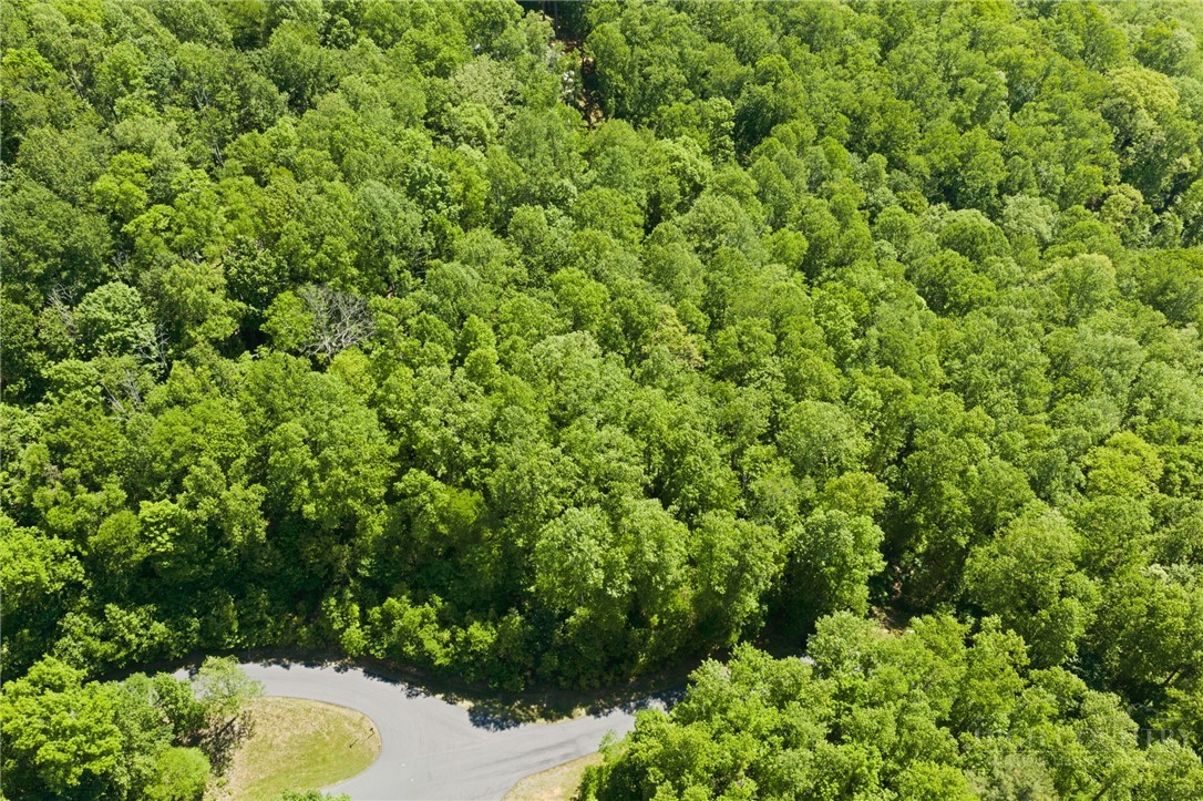Rivers Street Boone, NC 28607 - Photo 3 of 16