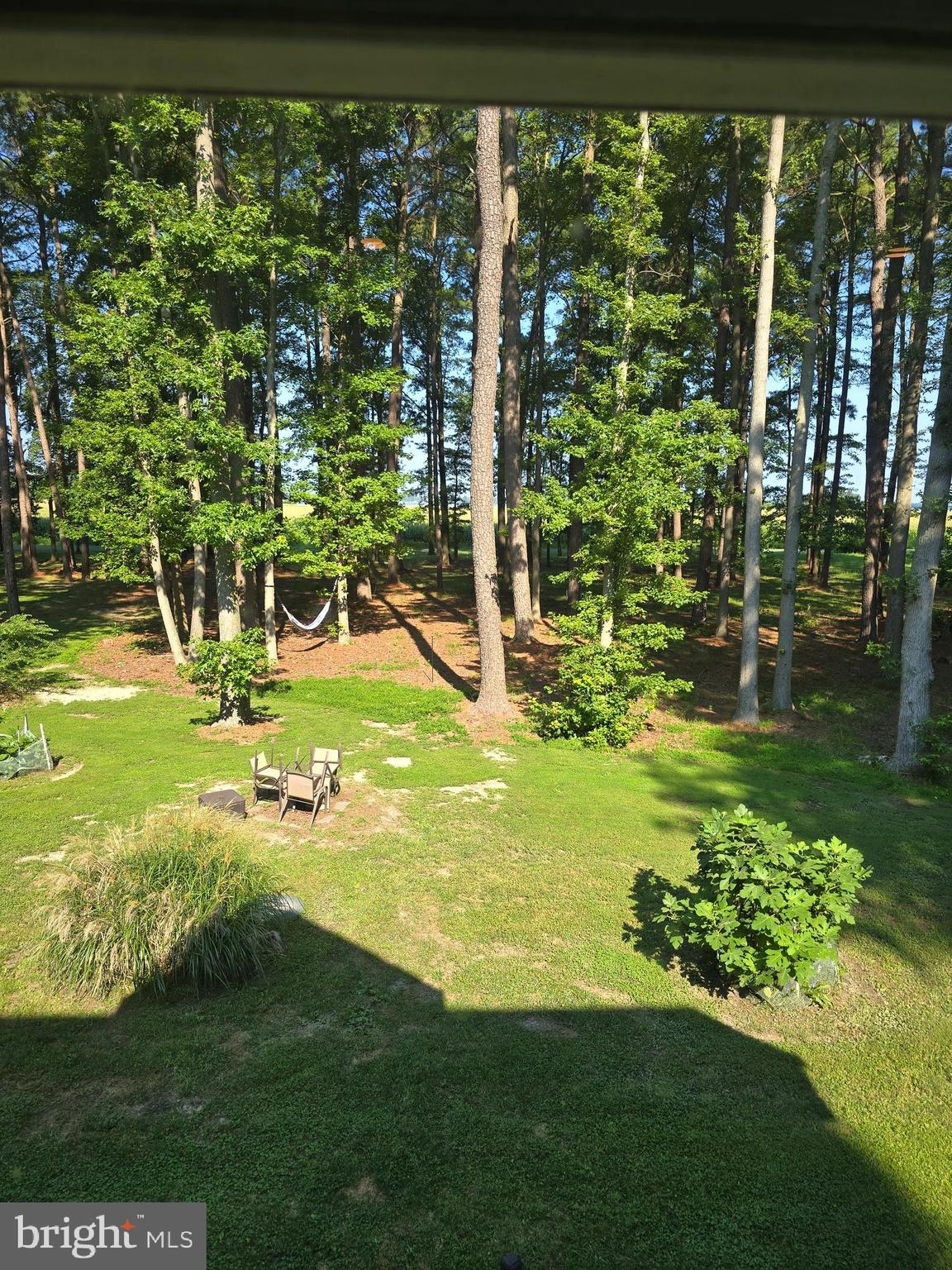 5903 Horns Point Road Cambridge, MD 21613 - Photo 7 of 8 Rear yard