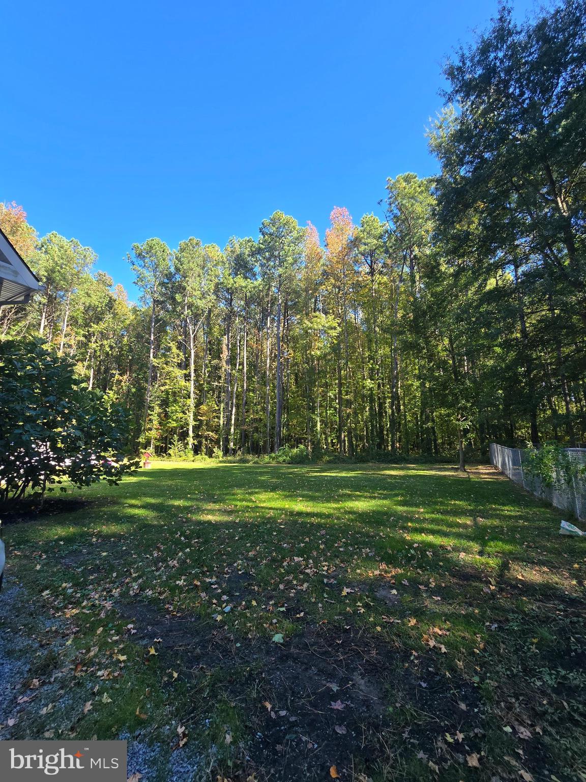 5903 Horns Point Road Cambridge, MD 21613 - Photo 8 of 8 Yard