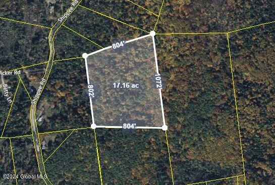 164 Shippee Road Day, NY 12822 - Photo 21 of 29 164 Shippee Rd