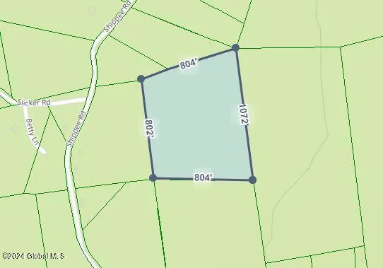 $94,999 | 164 Shippee Road, Day, NY 12822