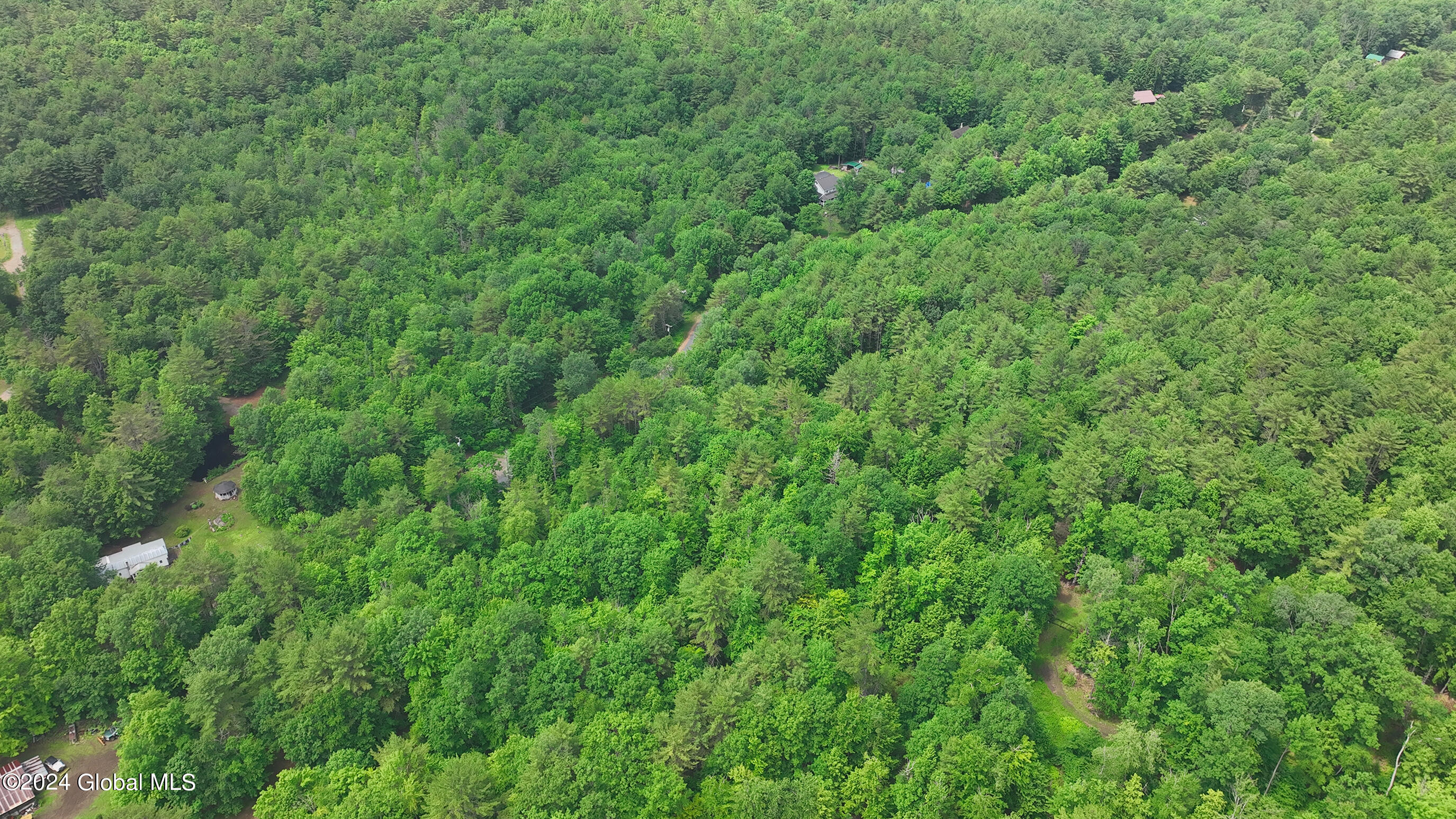 164 Shippee Road Day, NY 12822 - Photo 3 of 29 011-164-Shippee-Rd