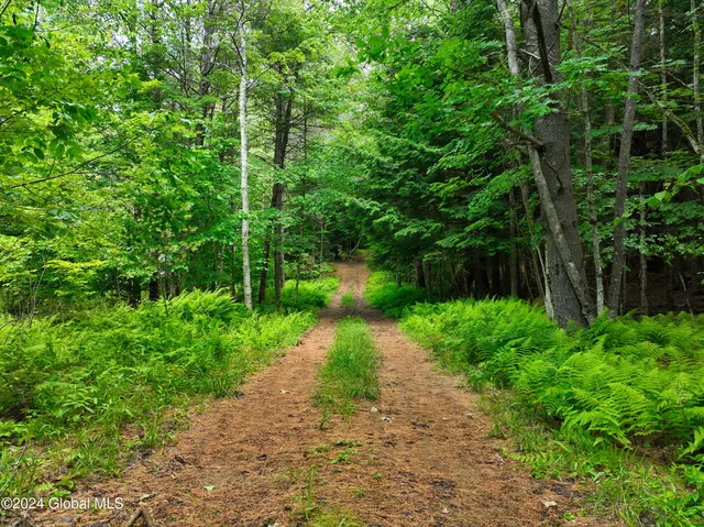 $94,999 | 164 Shippee Road, Day, NY 12822