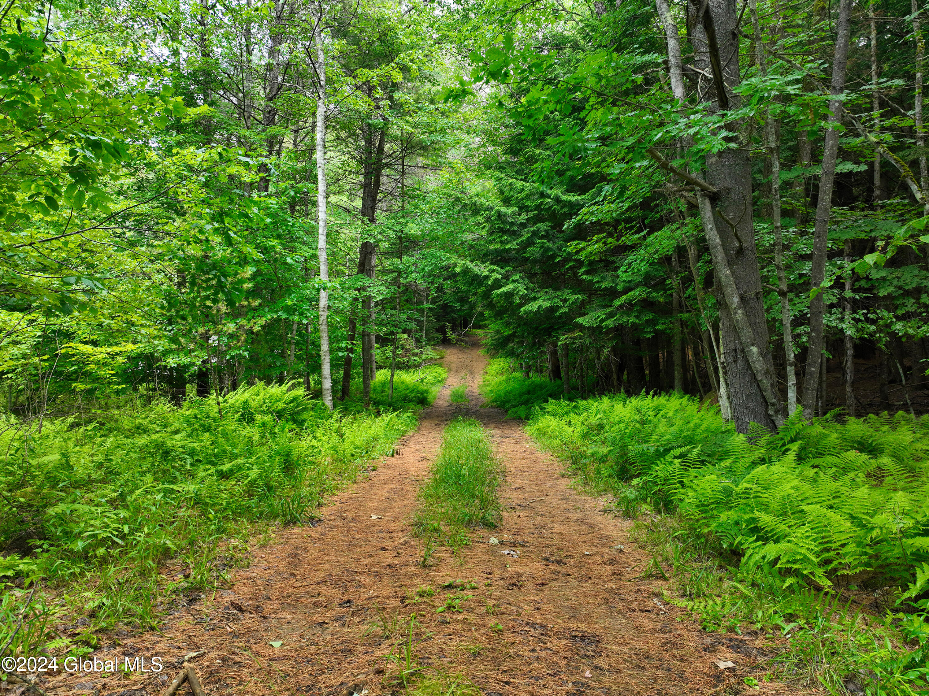 164 Shippee Road Day, NY 12822 - Photo 4 of 29 1