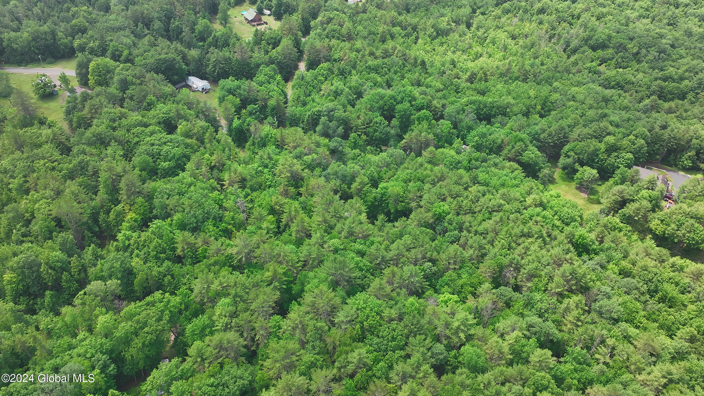 164 Shippee Road Day, NY 12822 - Photo 8 of 29 015-164-Shippee-Rd