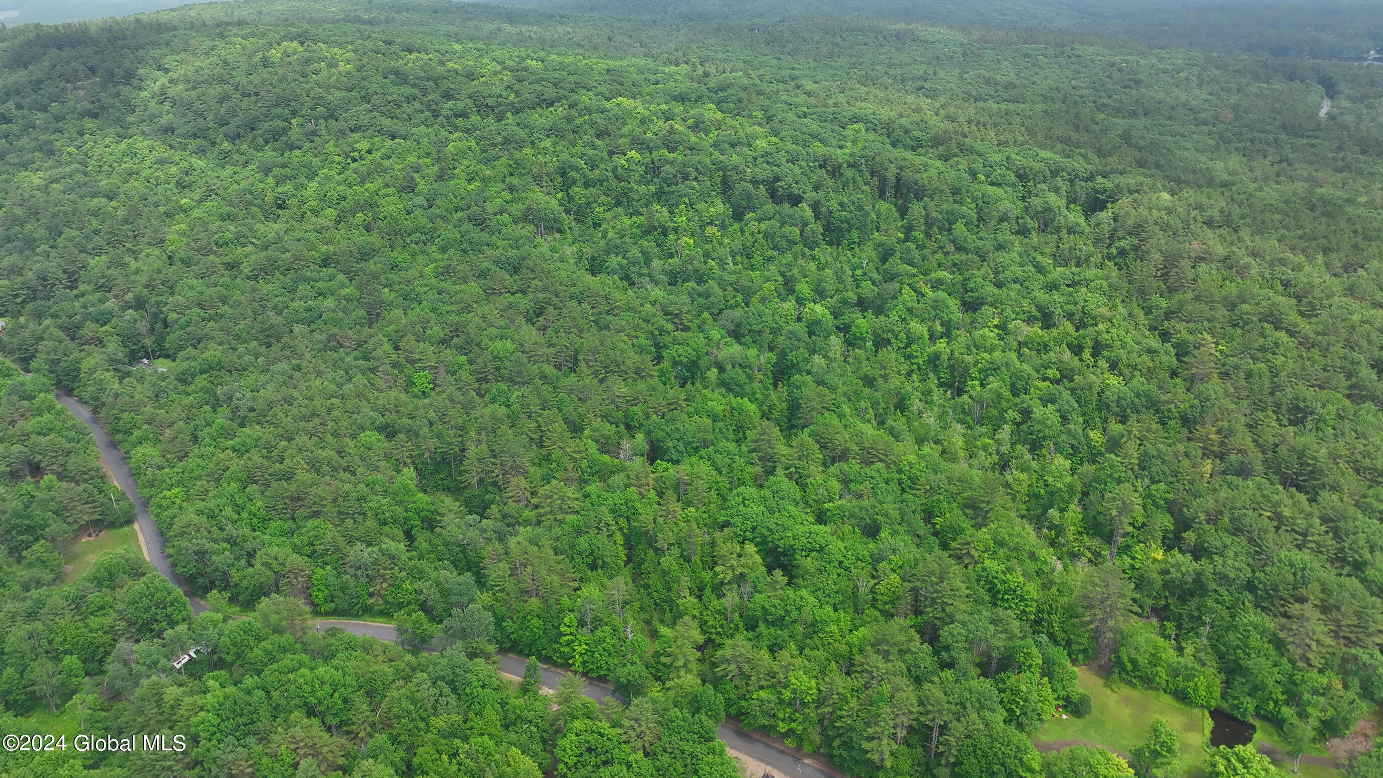 164 Shippee Road Day, NY 12822 - Photo 10 of 29 035-164-Shippee-Rd