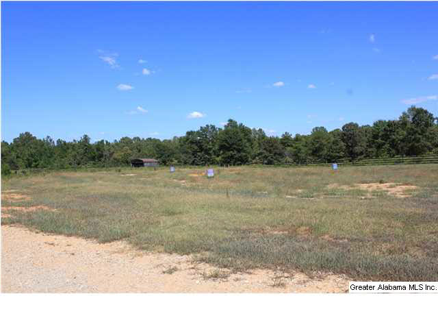 13084 Jackson Trace Road, Unit 94 83 AC Lincoln, AL 35096 - Photo 23 of 32