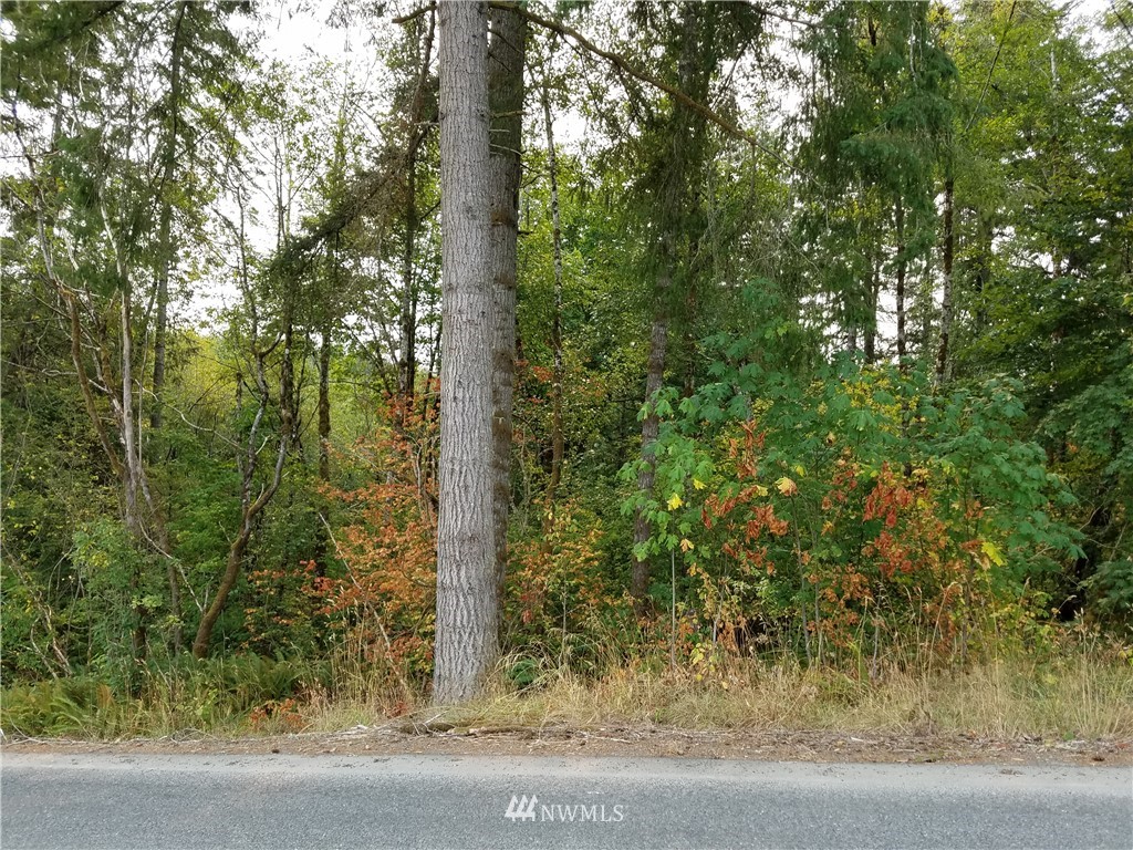 0 Raubuck Road Winlock, WA 98596 - Photo 1 of 4