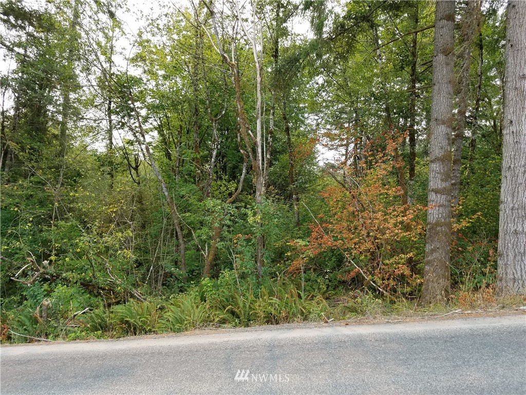 0 Raubuck Road Winlock, WA 98596 - Photo 2 of 4