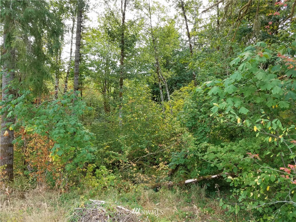 0 Raubuck Road Winlock, WA 98596 - Photo 3 of 4