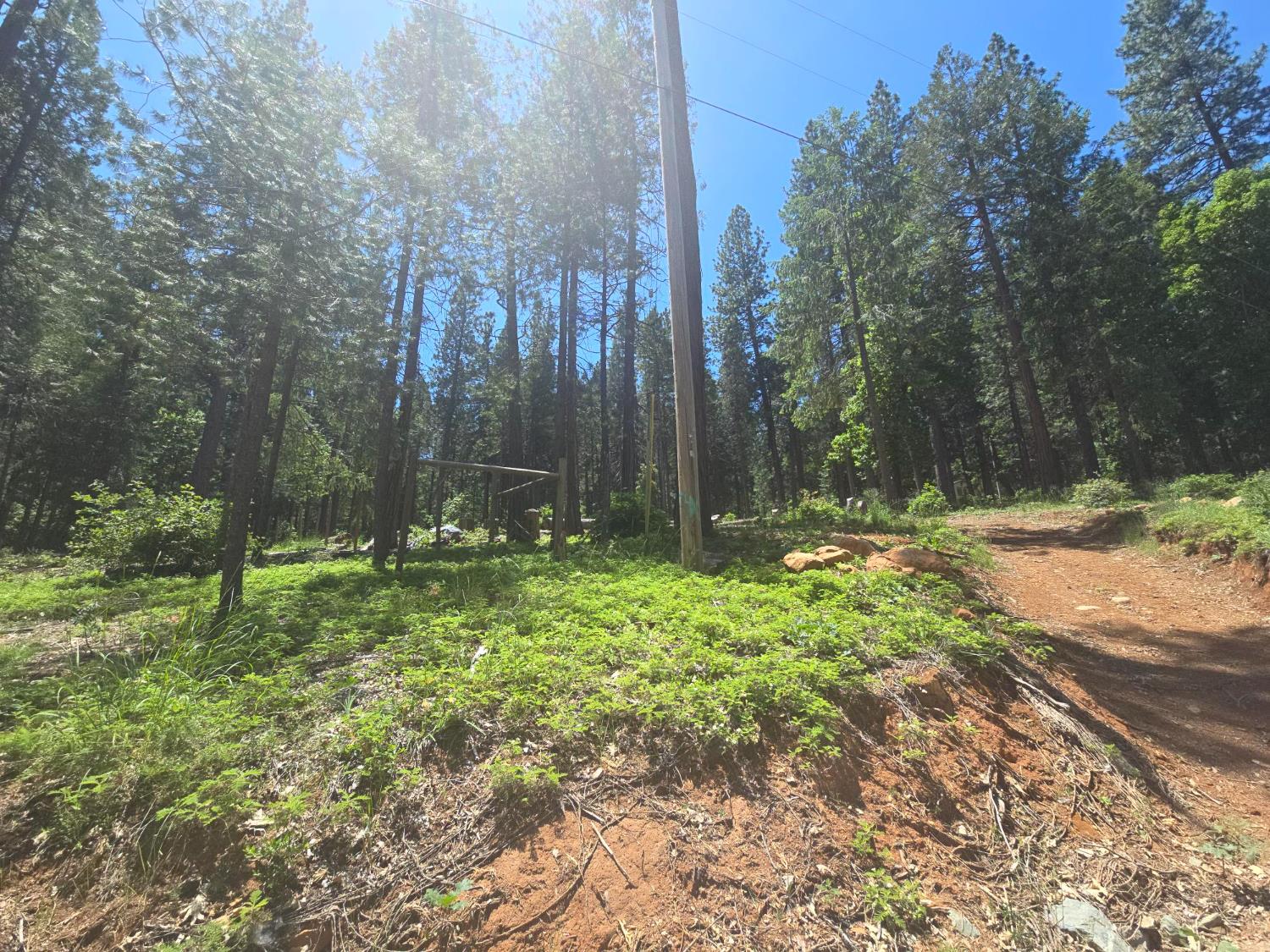 12181 Robust Way Nevada City, CA 95959 - Photo 1 of 7