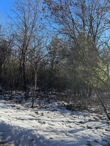 $75,000 | 0 Franklin Street, Tomah, WI 54660