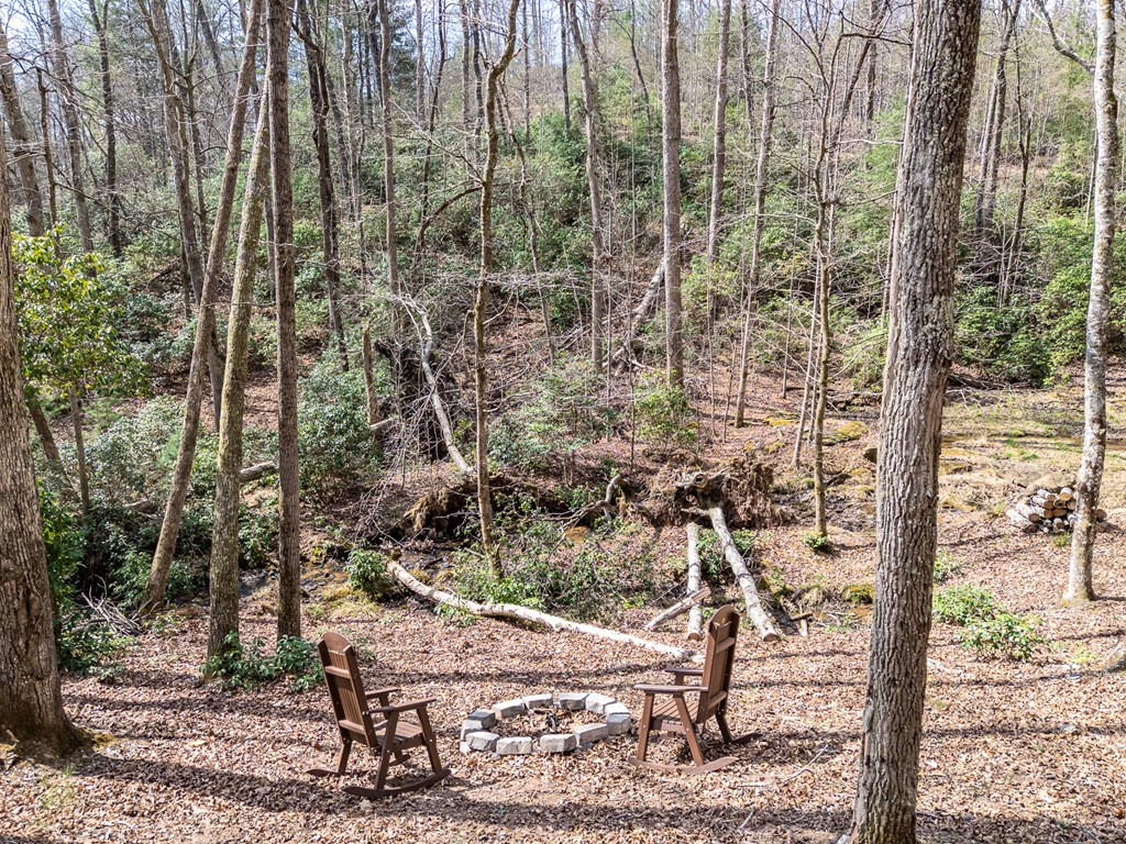 1220 Burger Road Murphy, NC 28906 - Photo 92 of 96 Gallery Image 92