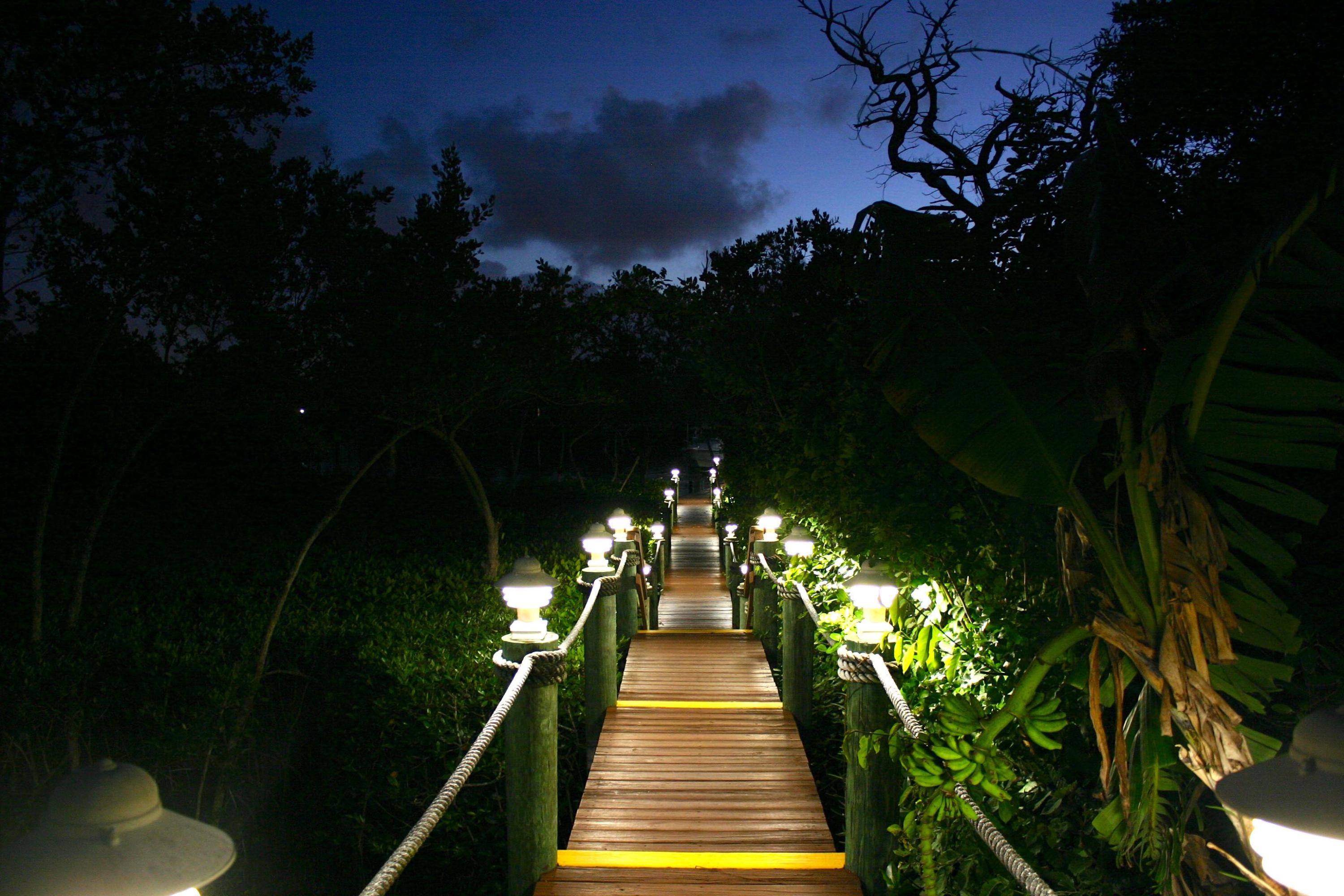 332 River Edge Road Jupiter, FL 33477 - Photo 46 of 103 Dock Lights 2 (3)