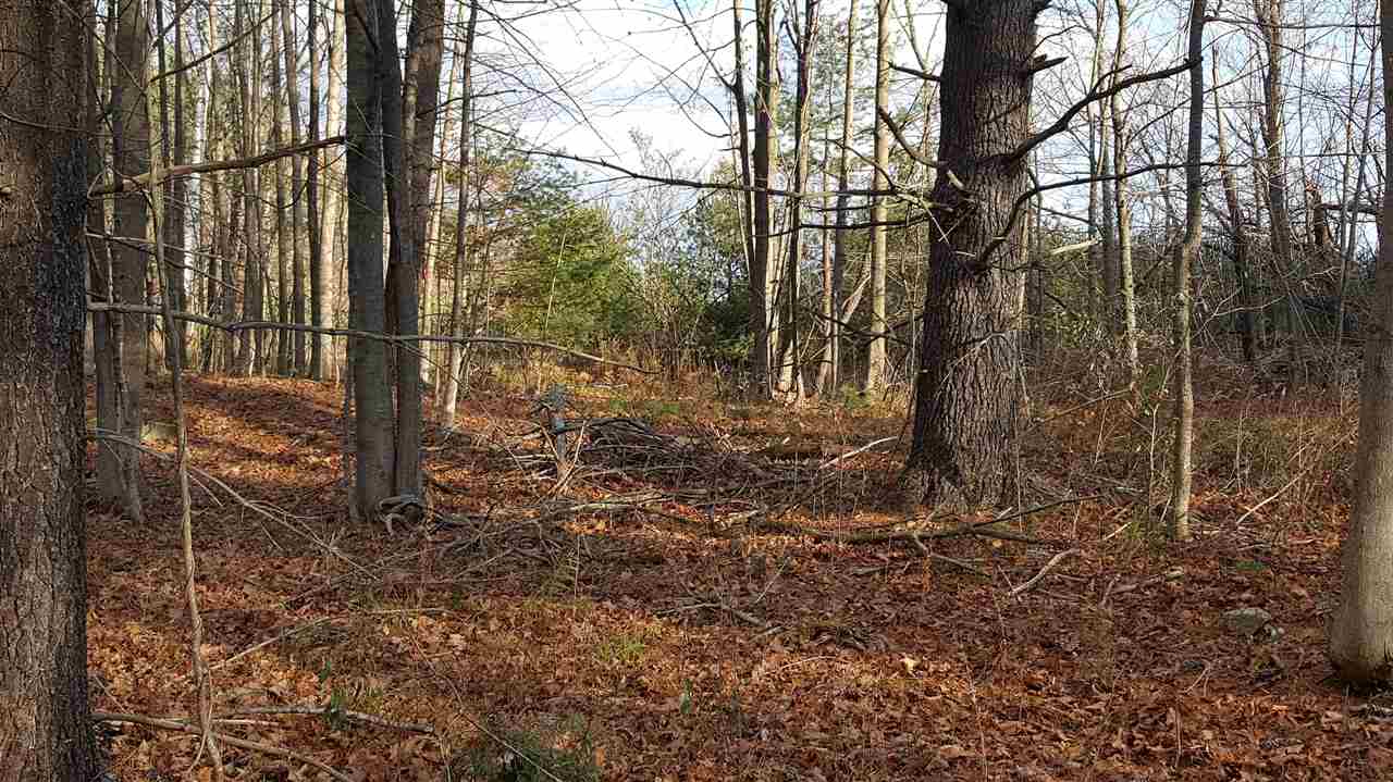 0 Center Road, Unit 7302 Lyndeborough, NH 03082 - Photo 3 of 17