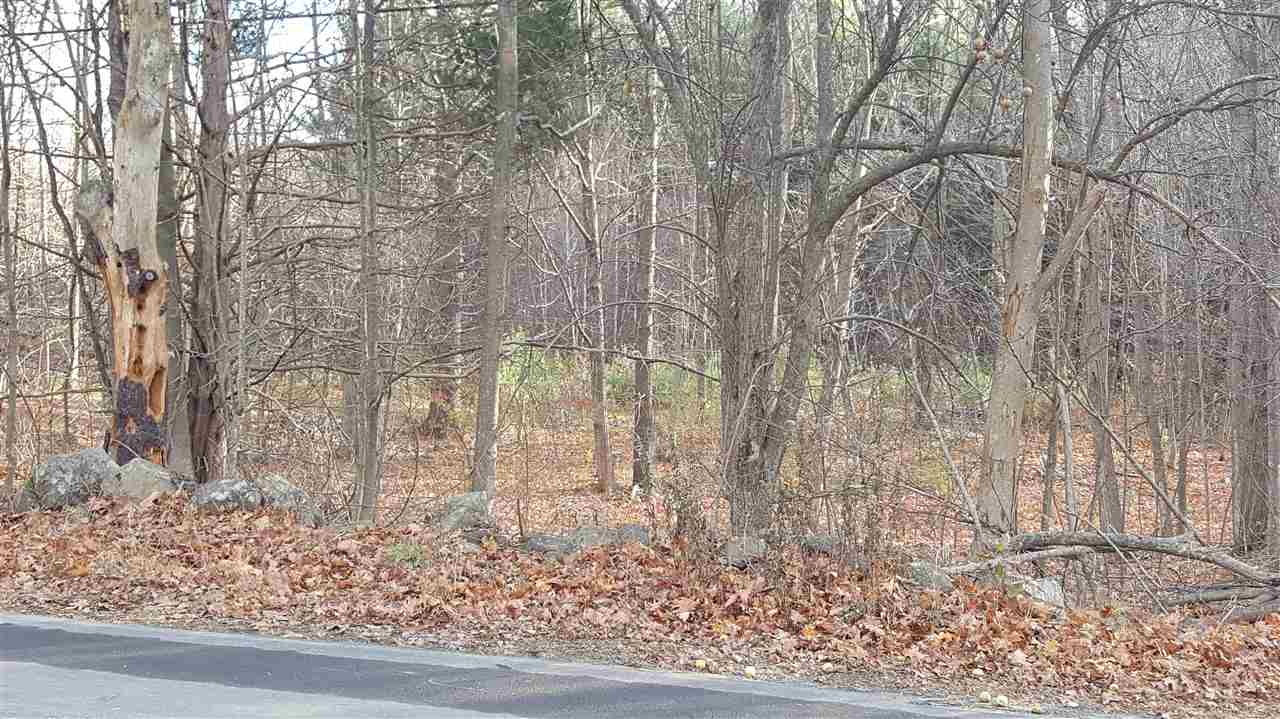 0 Center Road, Unit 7302 Lyndeborough, NH 03082 - Photo 8 of 17
