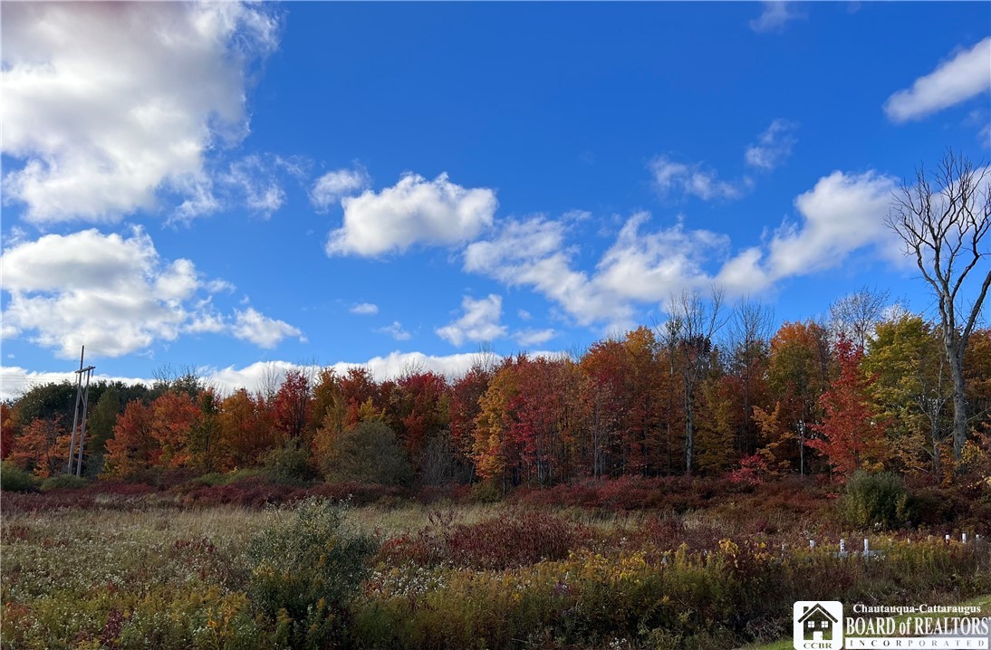 0 Hall Road Jamestown, NY 14701 - Photo 1 of 1