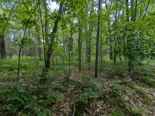 $28,200 | Lot 5 Fosmo, Webster, WI 54893