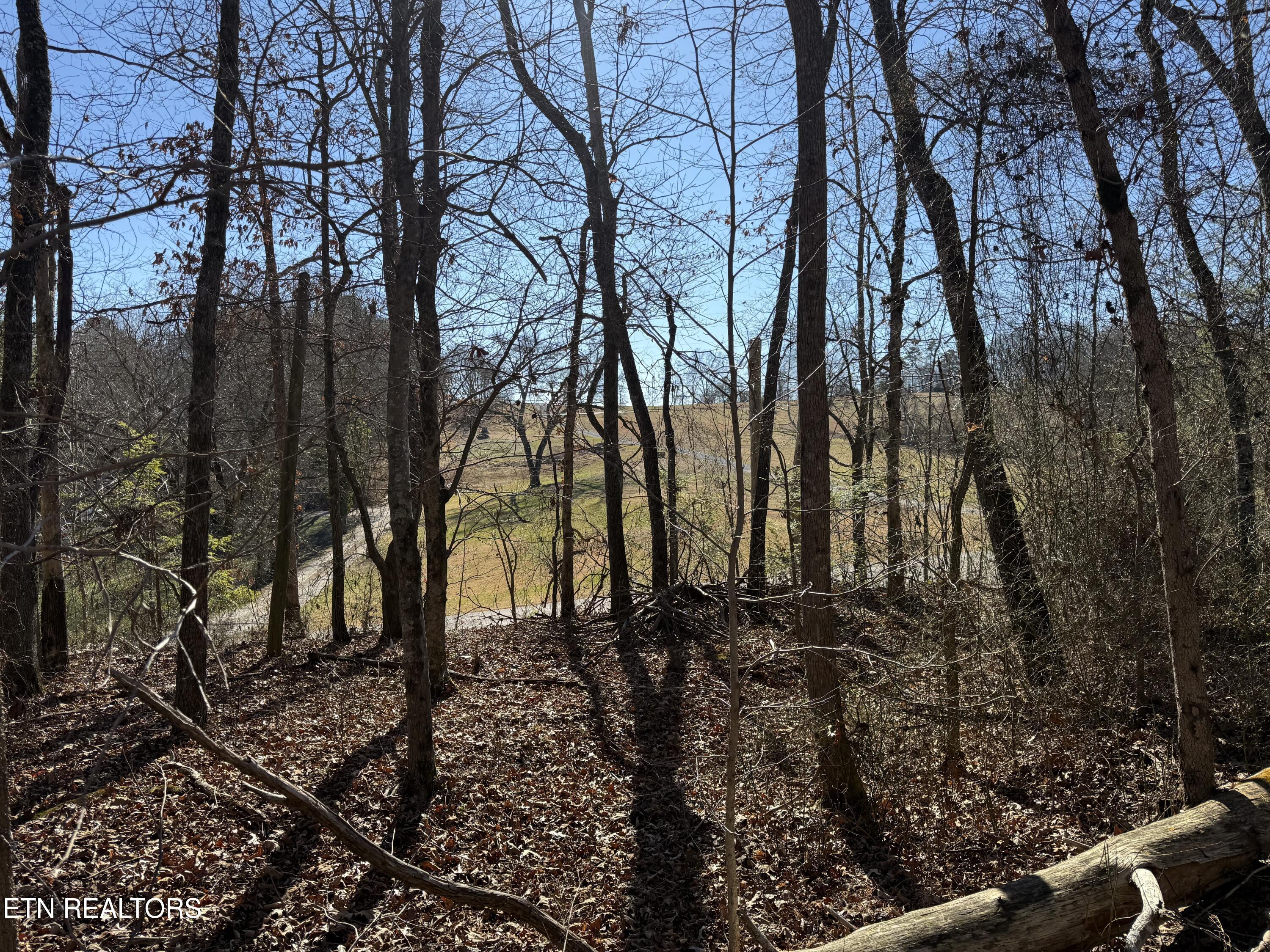 0 Cates Road Rockwood, TN 37854 - Photo 1 of 17 CATES 1