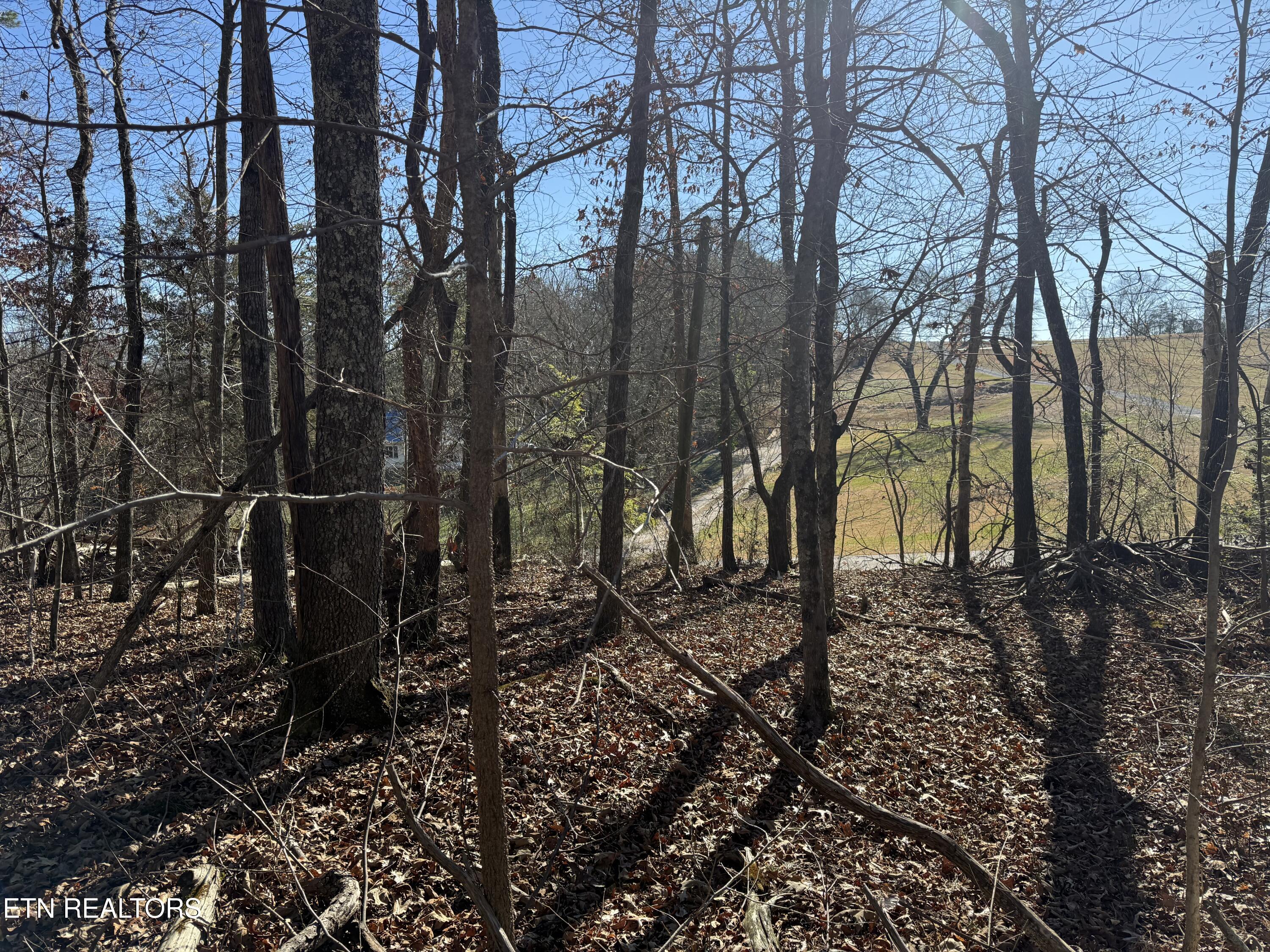 0 Cates Road Rockwood, TN 37854 - Photo 11 of 17 CATES 2