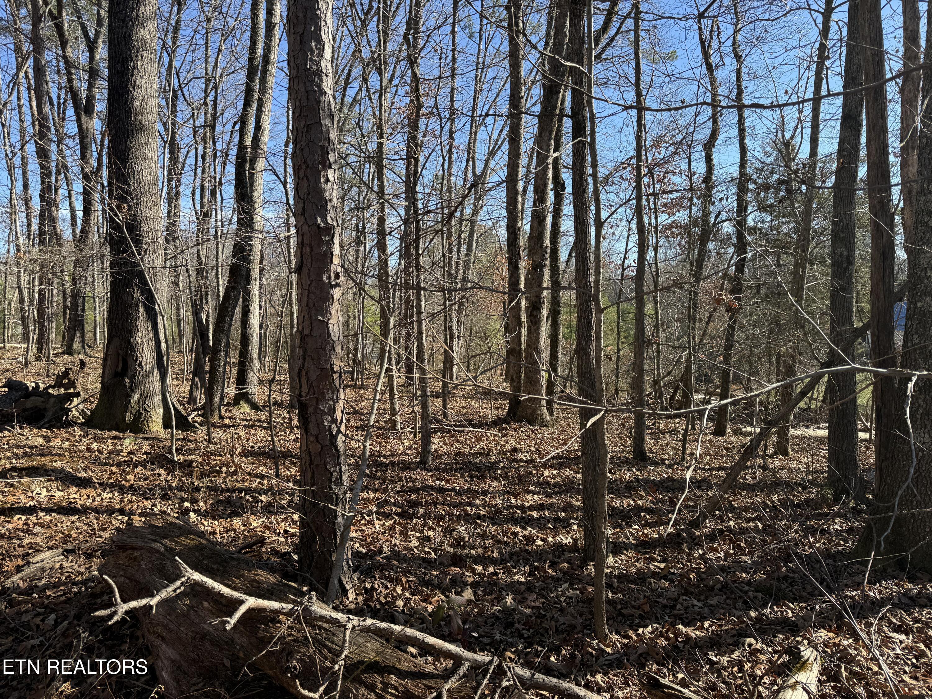 0 Cates Road Rockwood, TN 37854 - Photo 12 of 17 CATES 3