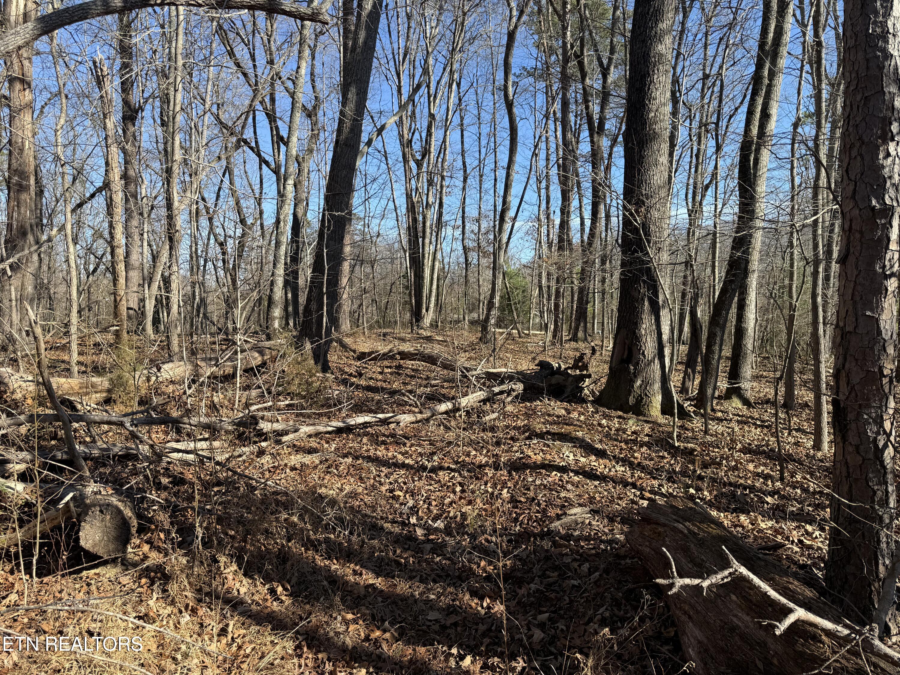 0 Cates Road Rockwood, TN 37854 - Photo 13 of 17 CATES 4