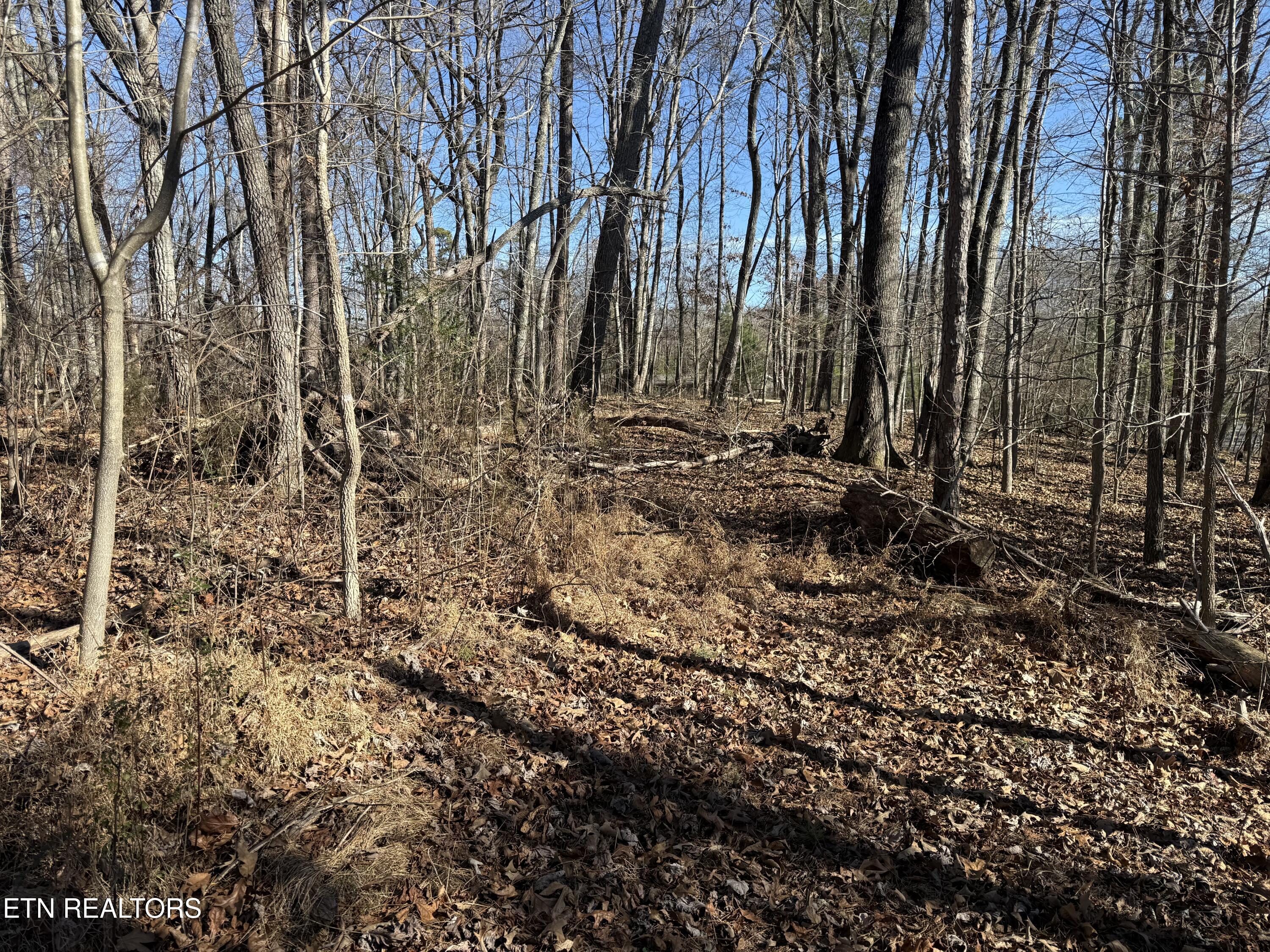 0 Cates Road Rockwood, TN 37854 - Photo 14 of 17 CATES 5