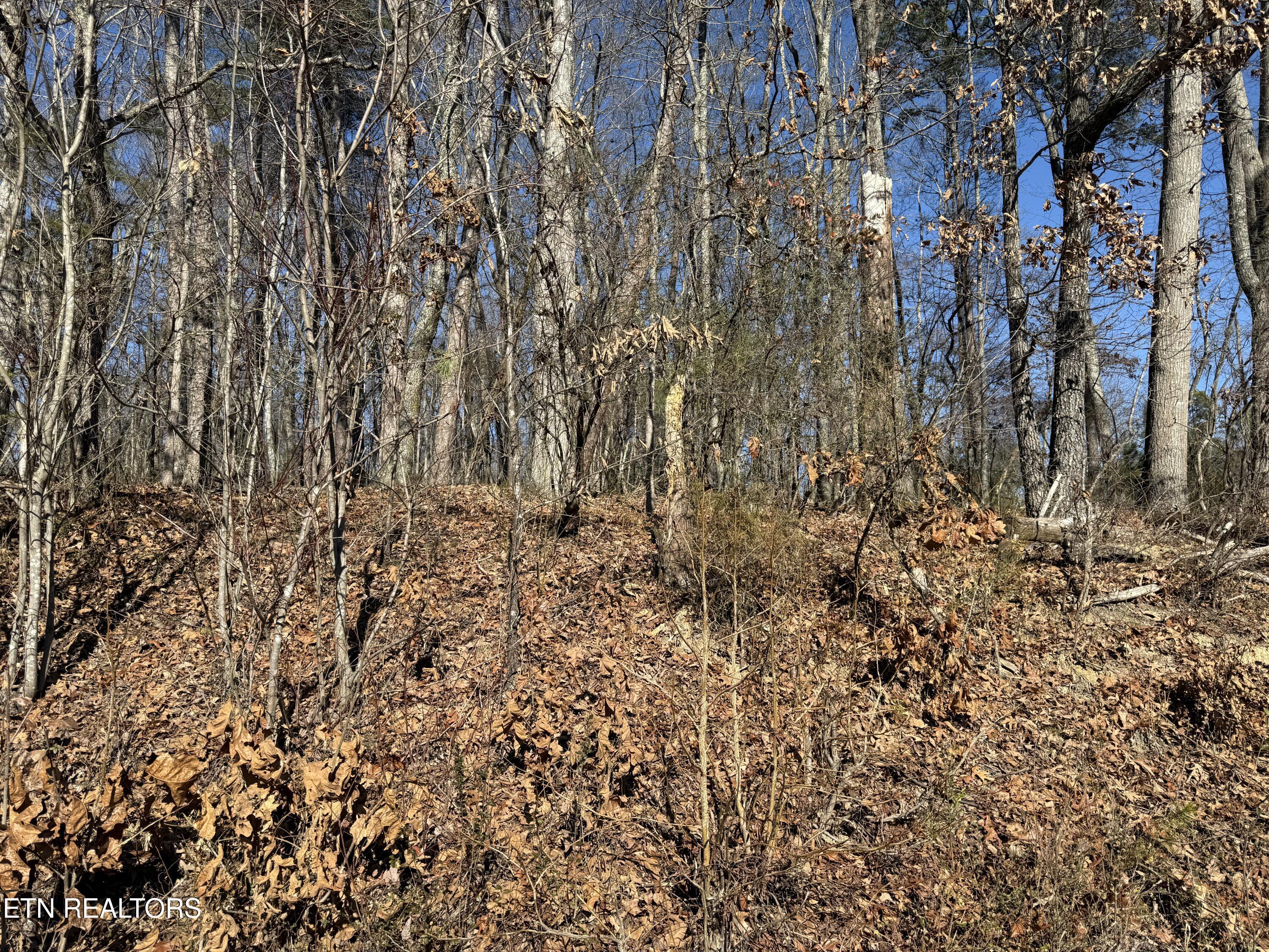 0 Cates Road Rockwood, TN 37854 - Photo 15 of 17 CATES 6