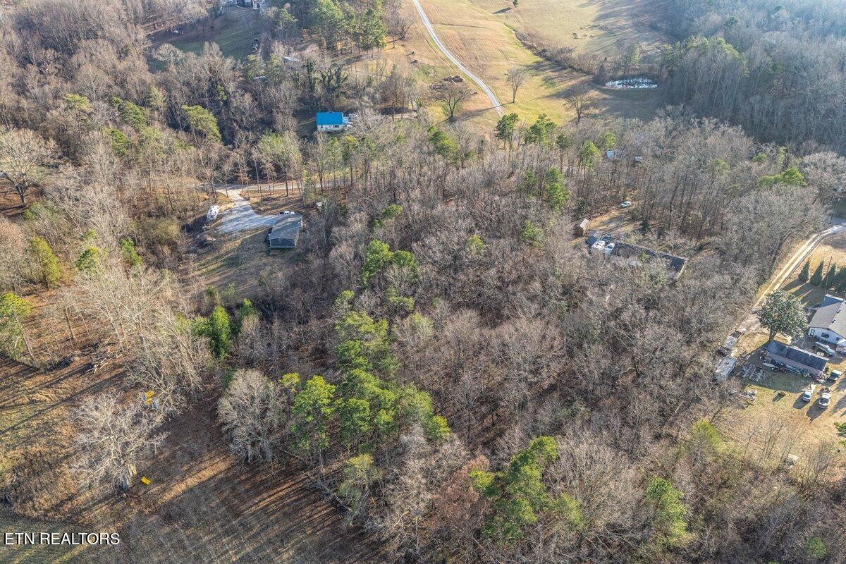 0 Cates Road Rockwood, TN 37854 - Photo 3 of 17 MICHAEL 4