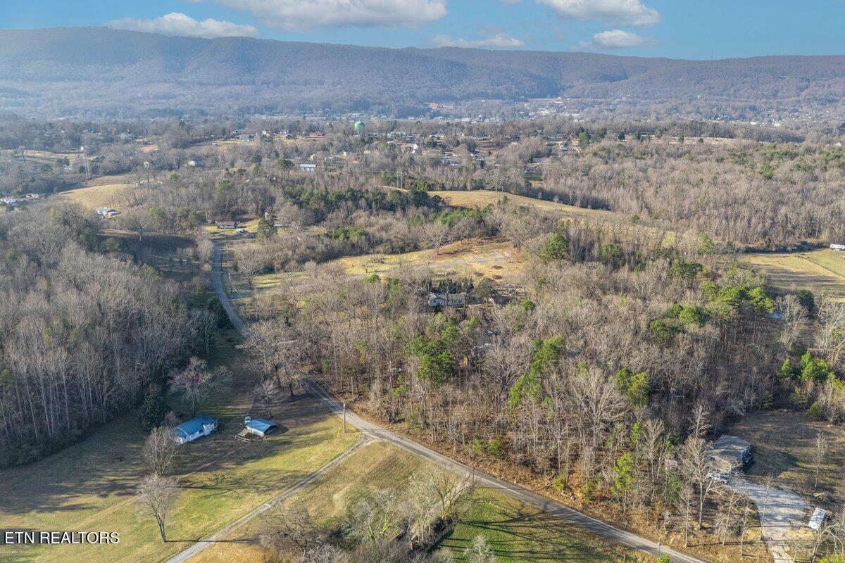 0 Cates Road Rockwood, TN 37854 - Photo 5 of 17 MICHAEL 6