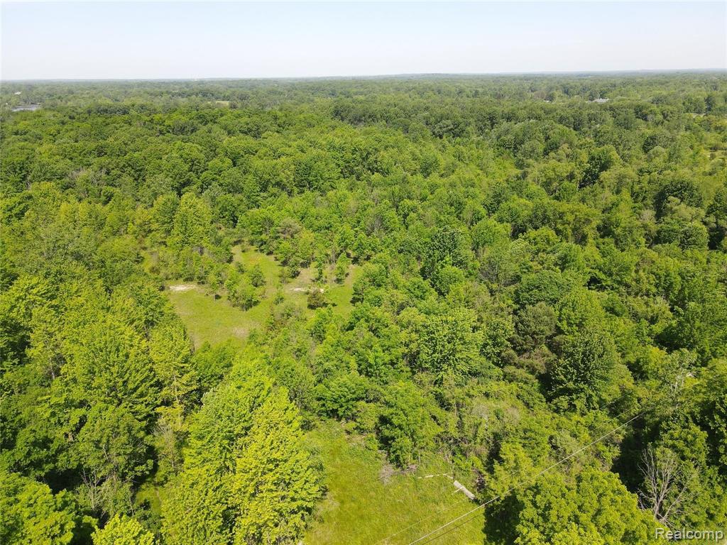 4 South Rushton Road South Lyon, MI 48178 - Photo 5 of 19