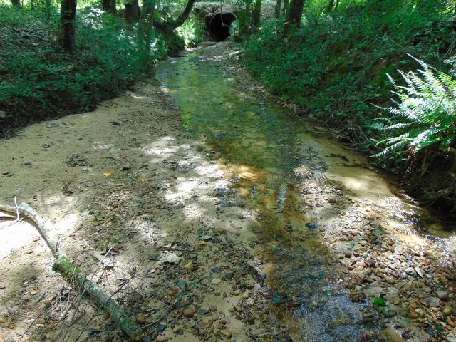 $26,500 | 1005 Tarver Lane, Wesson, MS 39191